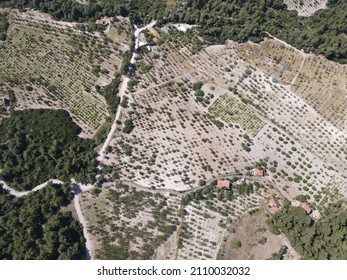 big fields drone view, forest and land area aerial view