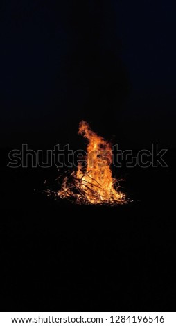 Foto Bild Lagerfeuer im Wald Freude