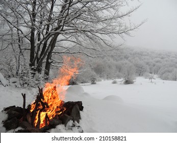 Big Fire In The Snowy Winter Forest