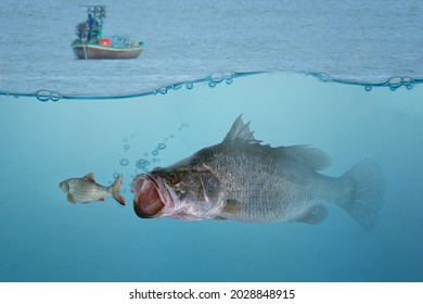  Big Fish Eat Small Fish. Feeding Cycle. Business Concept  The Big Fish Eat The Little One, The Powerful Instinctively And Consistently Prey On The Weak.             