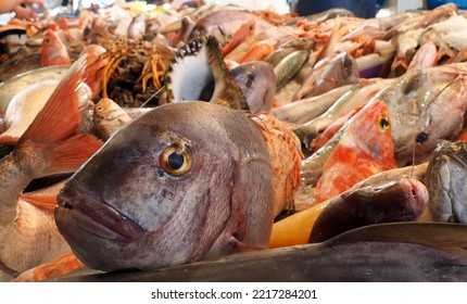 Big Fish Head At The Fish Market