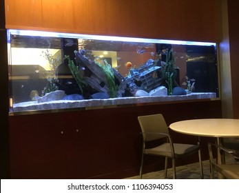 Big Fish Tank