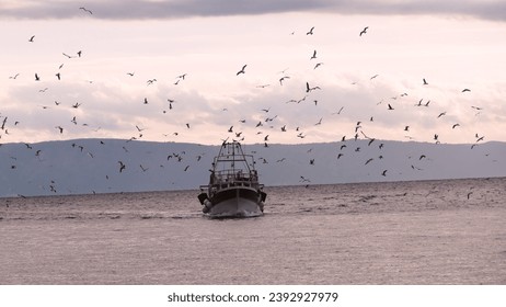 Big fishing boat and flock of seagulls fly in the sky