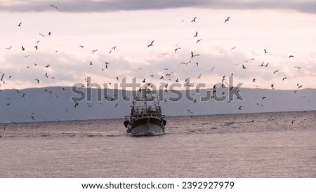 Big fishing boat and flock of seagulls fly in the sky