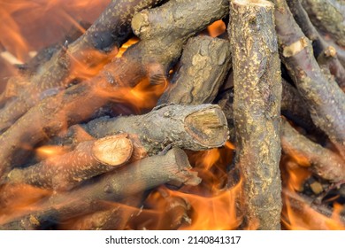 Big flame flutters in wind. Bonfire made of branches of fruit trees. Sawn apricot wood. Process of preparing coals for barbecue. Close-up. Selective focus.