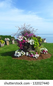 A Big Flower Arrangement In The Backyard With The Lake Ontario In The Back, Under Blue Sky On A Sunny Day.