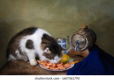 Big Fluffy Cat Eats Shrimp