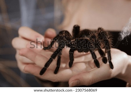 A big fluffy tarantula spider on the girl's arm. Exotic pet