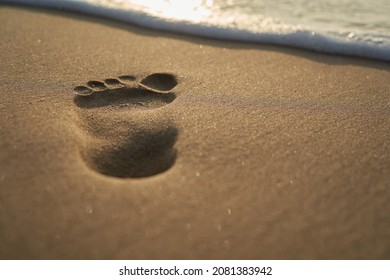 Big Footprint On The Sandy Beach. Water Edge Of The Sea. Depth Of Field.