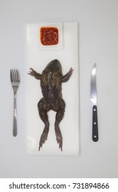 Big Fresh Frog On A Rectangular Plate. It Visually Describes An Italian Say: 