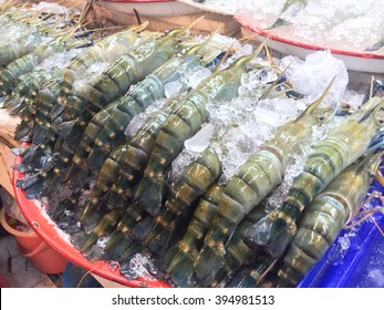 Big Fresh Shrimps In The Market