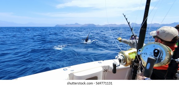 Big Game Fishing. Caught A Marlin Jumping Near The Boat.