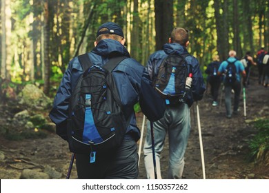 Big Group Of Hikers On The Mountain Trail In The Carpathian Forest. Teambuilding In The Hike, Corporate Events. Team Building Outdoor In The Forest