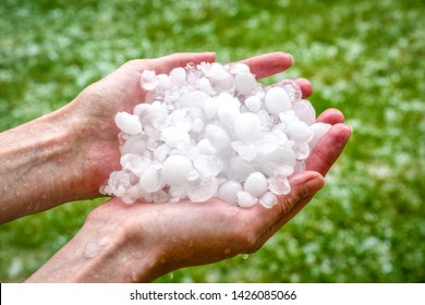 Big hails in hands after hailstorm