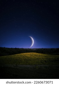 Big Half Moon above the horizon. Moonlight over a yellow field. Dreamy night landscape.