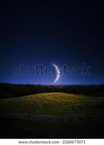 Big Half Moon above the horizon. Moonlight over a yellow field. Dreamy night landscape.