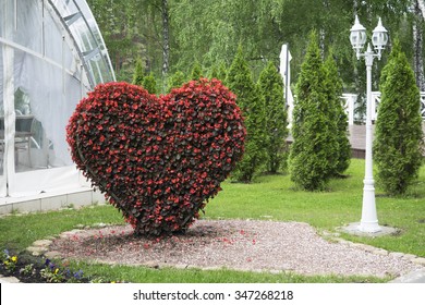 Big Heart (topiary Figure) Of Fresh Flowers