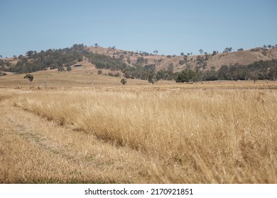 A Big Hill With A House On It In Long Brown Grass In Queensland, Australia