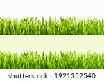 Big horizontal Grass Borders Set