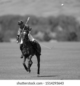 Big Horn, Wyoming - August 7th 2010: Brandon Phillips Hits The Ball.