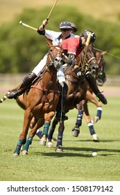 Big Horn, Wyoming - July 31st 2010: Brandon Phillips With The Nearside Backshot At Flying H Polo Club.