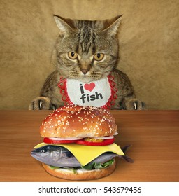 burger cat