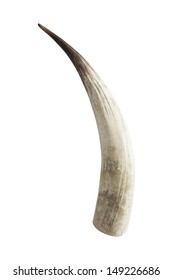 Big Ivory Tusk Isolated On White Background