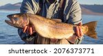 Big Lahotan cutthroat trout caught and released at Pyramid Lake near Reno, Nevada on the Paiute Indian Reservation