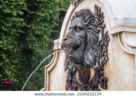 Big lion head statue on stone yellow wall spouting water on the street in village near Da Nang town, Vietnam, close up