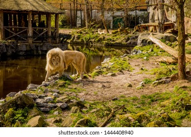 Ouwehands Zoo Images Stock Photos Vectors Shutterstock