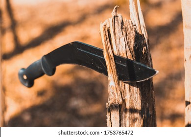 A Big Machete Knife Sticked Into A Stub In The Forest