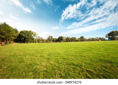 Big Meadow Of City Park In Cloudy Sky