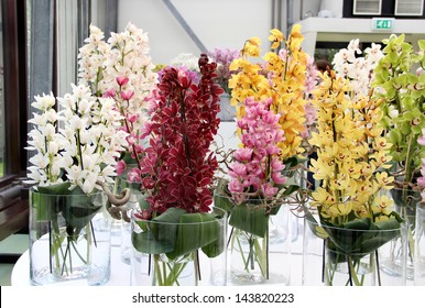 Big Vase Flowers Images Stock Photos Vectors Shutterstock