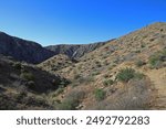 The Big Morongo Canyon Preserve in California, USA