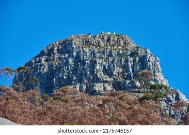 A Big Mountain With Brown And Green Trees Against A Background Of Clear Blue Sky And Copyspace. Huge Rocky Terrain Perfect For Hiking, Rock Climbing Or Scenic Views Of Cape Town Rugged Outdoors