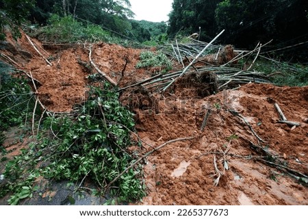 A big mudslide and trees block a road on the coastal city of Sao Sebastiao, Sao Paulo state, Brazil, after heavy rains hit the region.