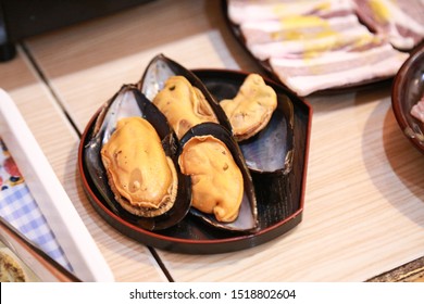 Big New Zealand Mussels on dish.