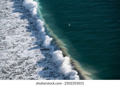 Big ocean wave breaking on the beach at sunset. White seagull soaring over the wave. Atlantic ocean in Nazare, Portugal.  - Powered by Shutterstock