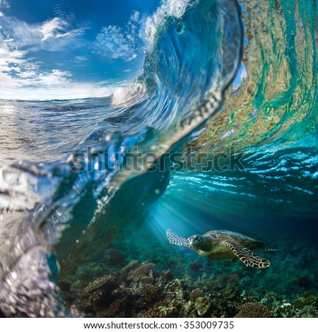 Big Ocean Wave Inside. Sea animal turtle floating underwater. Water surface with ripples on it. Beautiful Maldivian sky with clouds and Rays of Sun. Tropical design element.