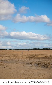 Big Open Field With Blue Skies