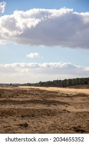 Big Open Field With Blue Skies