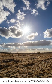 Big Open Field With Blue Skies