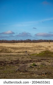 Big Open Field With Blue Skies