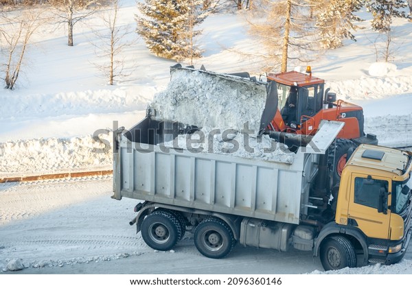 Big orange tractor cleans up snow from the road\
and loads it into the truck. Cleaning and cleaning of roads in the\
city from snow in winter