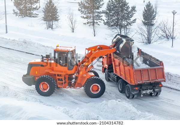 Big\
orange tractor cleans up snow from the road and loads it into the\
truck. Cleaning and cleaning of roads in the city from snow in\
winter. Snow removal after snowfall and blizzards.\
