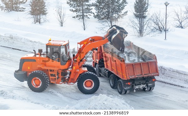 Big\
orange tractor cleans up snow from the road and loads it into the\
truck. Cleaning and cleaning of roads in the city from snow in\
winter. Snow removal after snowfall and blizzards.\
