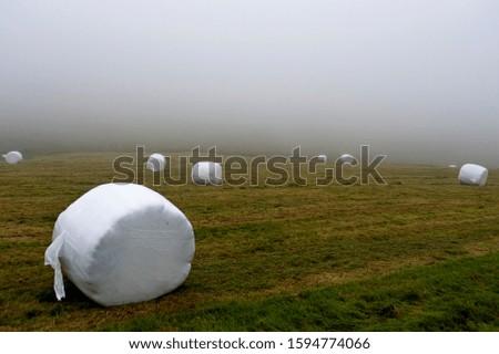 Similar – Foto Bild Marshmallow Feld IV