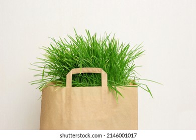 A Big Paper Bag Of Green Grass On Light Background