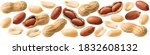 Big peanut set isolated on white background. Groundnuts shelled and in nutshell. Package design element with clipping path
