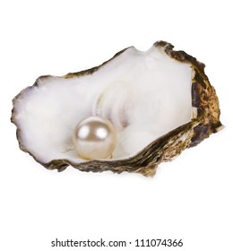 Big Pearl Oyster Shell Isolated On Stock Photo 111074366 | Shutterstock